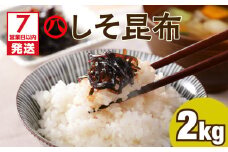 【7営業日以内に発送】【丸八】工場直送　「しそ昆布2kg」　K032-001