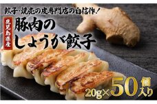 餃子・焼売の皮専門店の自信作！鹿児島県産豚肉のしょうが餃子　K033-004