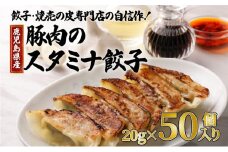 餃子・焼売の皮専門店の自信作！鹿児島県産豚肉のスタミナ餃子　K033-003