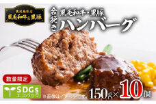 【1500ｇ】黒毛和牛・黒豚生ハンバーグ　トレー無しSDGs　K086-018