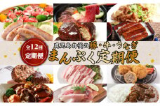 【全12回定期便】鹿児島自慢の豚・牛・うなぎ「まんぷく定期便」　K086-T10