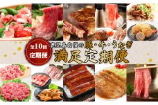 【全10回定期便】鹿児島自慢の豚・牛・うなぎ「満足定期便」　K086-T11