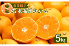 令和5年1月15日までの申込限定【完熟】石地温州みかん5kg【秀品】　K075-004