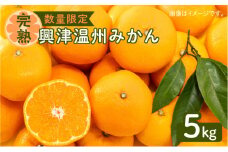 令和5年1月15日までの申込限定【完熟】興津温州みかん5kg【秀品】　K075-005