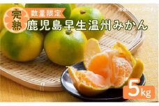 令和4年11月15日までの申込限定【完熟】鹿児島早生温州みかん5kg【秀品】　K075-006