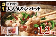 黒毛和牛！大人気のもつ（ホルモン）セット　K002-006