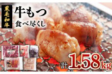 牛もつ（ホルモン）食べ尽くし！オールスターセット　K002-008