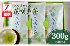 【7営業日以内に発送】さつまかおり　花咲き茶　K115-003