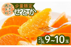令和5年4月30日までの申込限定【少量限定】みかんの大トロ！せとか2L～3Lを9～10玉 【ハウス栽培】　K075-001