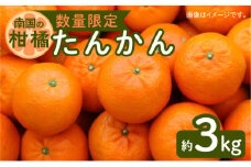 令和5年4月15日までの申込限定【南国の柑橘】たんかん 約3kg 【ハウス栽培】　K075-002