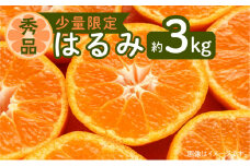 令和5年3月15日までの申込限定【少量限定】はるみ 約3kg 【秀品】　K075-003