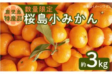 令和4年12月1日までの申込限定【産地からの贈り物】小みかん 3kg 【ハウス栽培】　K075-007