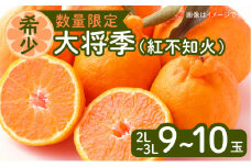 令和5年6月15日までの申込限定【鹿児島限定生産】大将季（紅不知火）2L～3Lサイズを9～10玉 【ハウス栽培】　K075-008