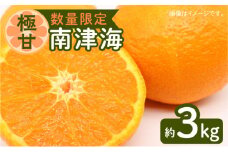 令和5年6月15日までの申込限定【稀少】南津海 3ｋｇ 【極甘】【ハウス栽培】　K075-009