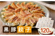  国産素材にこだわった黒豚餃子120個　K111-015