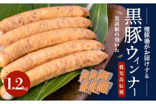 種豚場がお届けする鹿児島伝統の黒豚　黒胡椒の効いた黒豚ウインナー　K125-002