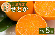 令和5年4月30日までの申込限定【少量限定】みかんの大トロ！せとか5玉 【ハウス栽培】　K075-010