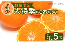令和5年6月15日までの申込限定【鹿児島限定生産】大将季（紅不知火）5玉 【ハウス栽培】　K075-011