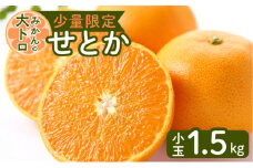 令和5年4月25日までの申込限定【少量限定】みかんの大トロ！せとか小玉1.5kg【ハウス栽培】　K075-013