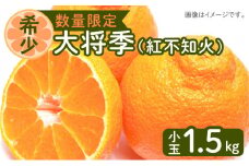 令和5年6月15日までの申込限定【鹿児島限定生産】大将季（紅不知火）小玉1.5kg【ハウス栽培】　K075-014
