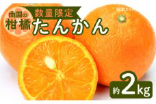 令和5年4月15日までの申込限定【南国の柑橘】たんかん約2㎏【ハウス栽培】　K075-015