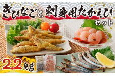 【津曲商店】きびなご、刺身用たかえびセット 2.2kg　K100-002