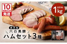 【10営業日以内に発送】鹿児島黒豚 ハムセット　K091-001