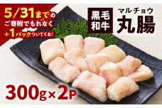黒毛和牛丸腸（ホルモン）300g入り×2パック　K130-001_cp