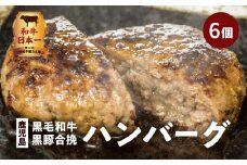 鹿児島黒毛和牛×鹿児島黒豚合挽ハンバーグ（湯煎タイプ・ソース入り）6個　K130-007