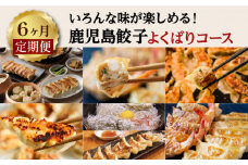 【6ヶ月定期便】いろんな味が楽しめる！鹿児島餃子よくばりコース　K000-T08