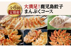【全6回 定期便】大満足！鹿児島餃子まんぷくコース　K000-T09