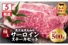 【5営業日以内に発送】鹿児島黒毛和牛の極上サーロインステーキセット 500g　K134-003