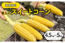 喜入のスイートコーン 4.5kg～5kg　K141-003