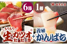 【山実水産】もちもち生カツオ(R)たたき6節+養殖かんぱち柵セット　K046-001