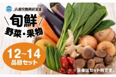  【JA直売所セレクト】旬鮮野菜・果物セット（12～14品目）　K072-001