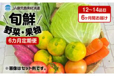 【JA直売所セレクト】6ヵ月定期便！旬鮮野菜・果物セット（12～14品目）　K072-T01