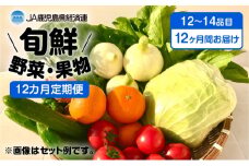 【JA直売所セレクト】12ヵ月定期便！旬鮮野菜・果物セット（12～14品目）　K072-T02