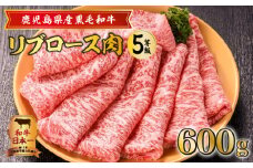  鹿児島県産黒毛和牛リブロース肉（5等級）　K171-002