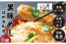 【かごしま黒豚 六白亭】黒豚めし詰合せ　6個　K163-004