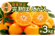 令和5年2月28日までの申込限定【甘さ濃厚】完熟ぽんかん約3㎏【ハウス栽培】　K075-017