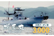 潤風丸利用クーポン券（3,000円分）　K153-FT001