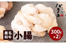 黒毛和牛小腸（ホルモン）300g入り×2パック　K130-002