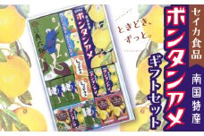 セイカ食品 南国特産ボンタンアメギフトセット　K194-001
