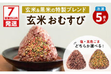 【7営業日以内に発送】2種から選べる！冷凍玄米おむすび 5個入り (1)塩　K182-004_01