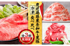 【全3回】鹿児島県黒毛和牛・黒豚食べ比べ定期便　K000-T2309