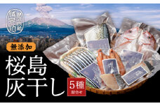 桜島灰干し 5種詰合せ　K178-001