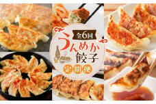 【全6回】うんめか餃子定期便　K000-T2311