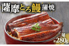 薩摩とろ鰻蒲焼二尾　K190-001