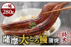 薩摩大とろ鰻蒲焼特大サイズ一尾　K190-002