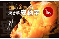 畑の金貨 焼き芋安納芋 1kg　K181-002_02